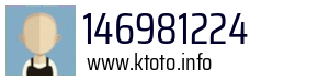 146981224