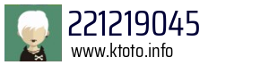 221219045