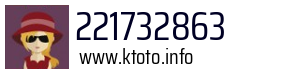 221732863