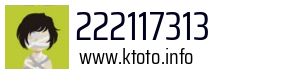 222117313