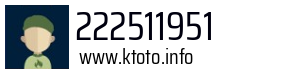 222511951