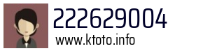 222629004