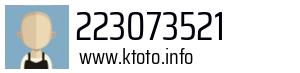 223073521