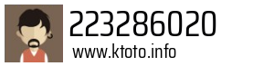 223286020