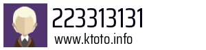 223313131