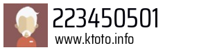 223450501