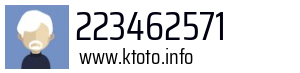 223462571
