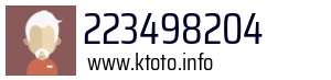 223498204