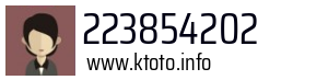 223854202
