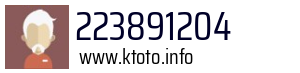 223891204