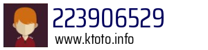 223906529