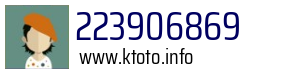 223906869