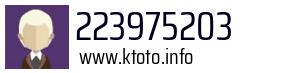223975203