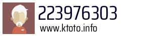 223976303