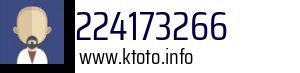 224173266