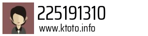225191310