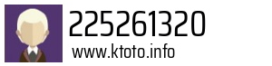 225261320
