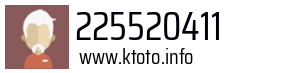 225520411