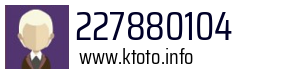 227880104