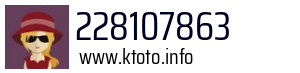 228107863