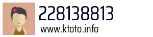 228138813
