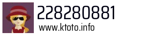 228280881
