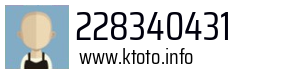 228340431