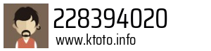 228394020