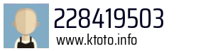 228419503