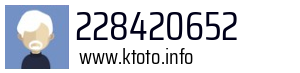 228420652