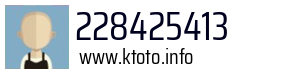 228425413