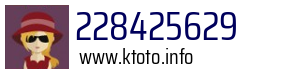 228425629