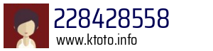 228428558