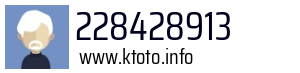 228428913