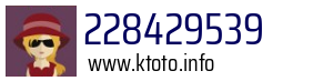 228429539