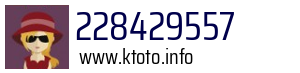 228429557