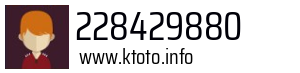 228429880