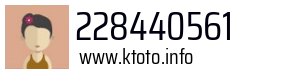 228440561