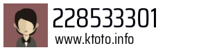 228533301