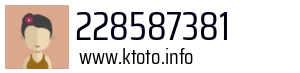 228587381