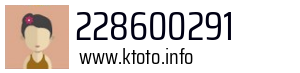 228600291