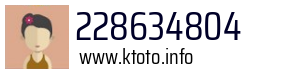228634804