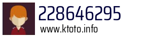 228646295