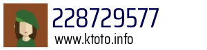 228729577