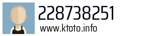 228738251