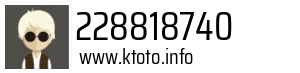 228818740
