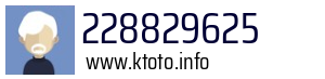 228829625