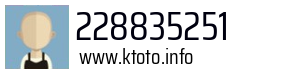 228835251