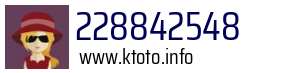 228842548