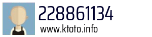 228861134